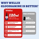 wellix-4-oz-120-ml-joint-supplement-for--4.jpg