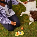 wet-ones-antibacterial-hand-wipe-travel--4.jpg