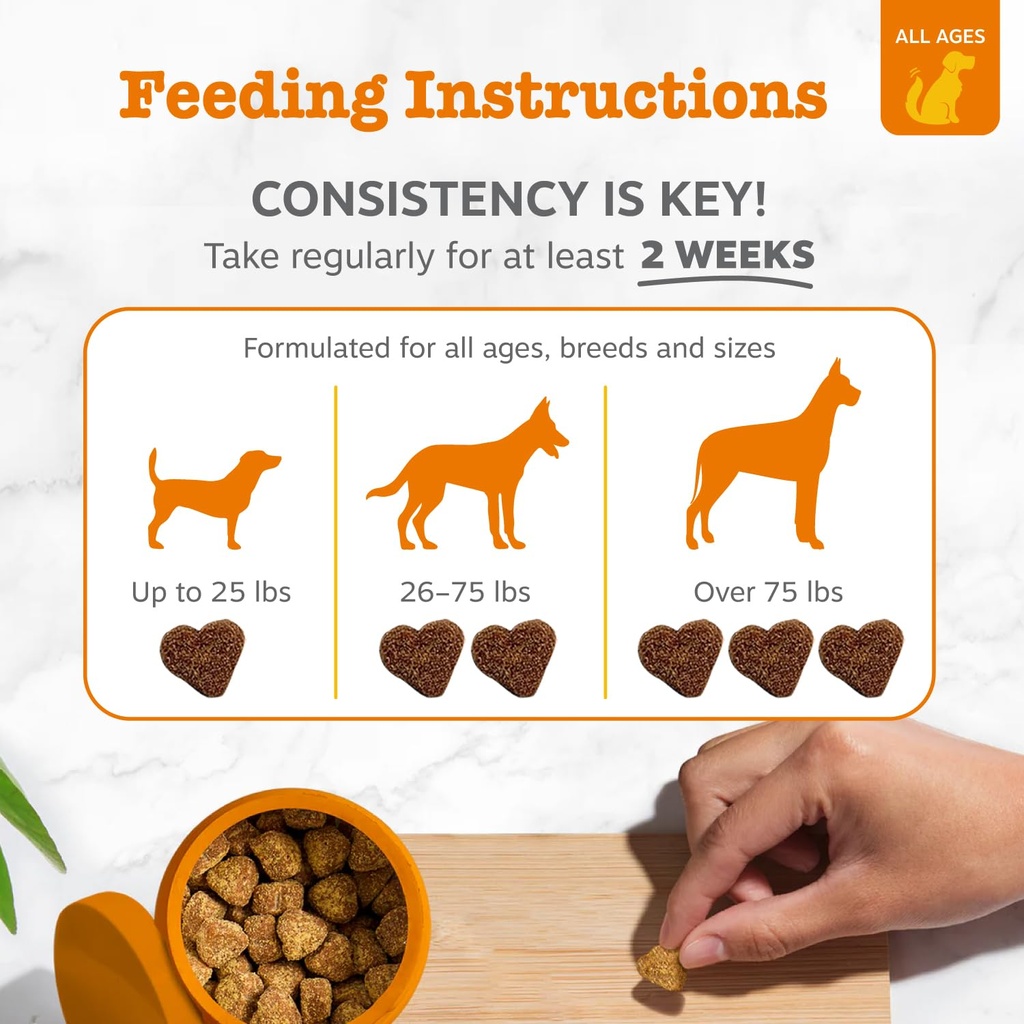 zesty-paws-dog-allergy-relief-chews-dog--3.jpg