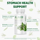herbelico-wild-oregano-thyme-summer-savo-2.jpg