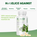 herbelico-wild-oregano-thyme-summer-savo-4.jpg