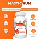 premium-mastic-gum-capsules-natural-gast-3.jpg