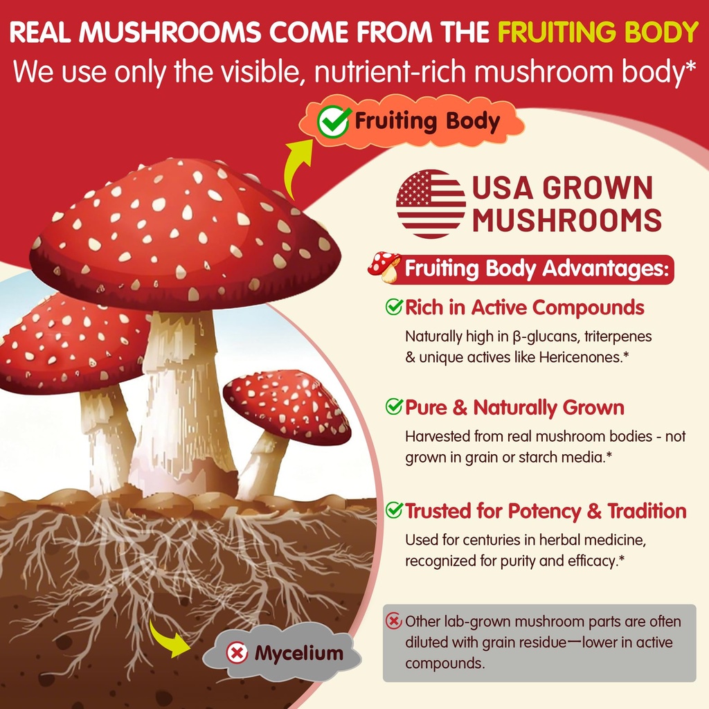 lilicare-bundle-mushroom-lions-mane-vita-5.jpg