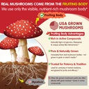 lilicare-bundle-mushroom-lions-mane-vita-5.jpg