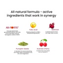 wellbeing-nutrition-melts-nano-iron-plan-3.jpg