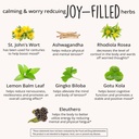 joy-filled-mood-support-supplement---7-h-4.jpg