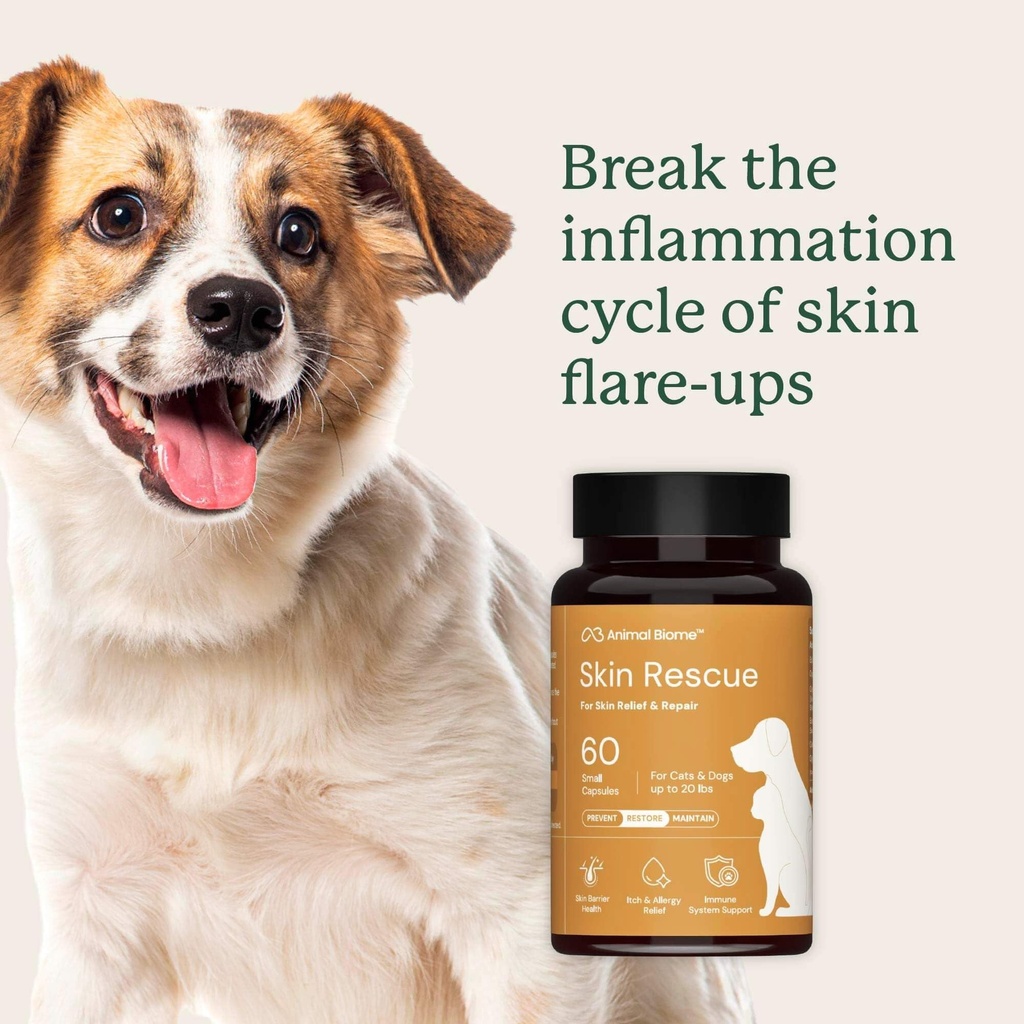 animal-biome-skin-rescue-large-dog-aller-5.jpg