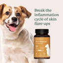animal-biome-skin-rescue-large-dog-aller-5.jpg