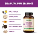 siba-ultra-pure-sea-moss-blend-vegan-cap-4.jpg