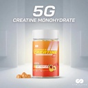 limitless-pharma-pure-creatine-gummy-can-6.jpg