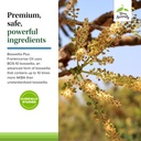 terry-naturally-boswellia-plus-frankince-5.jpg