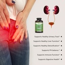 pure-by-nature-600mg-d-mannose-vegan-cap-4.jpg
