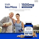 doctor-morses-turmeric-curcumin-1950mg-i-6.jpg