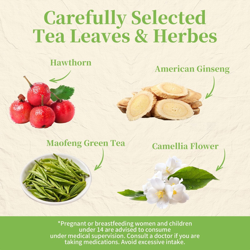 co-op-1950-camellia-american-ginseng-gre-3.jpg