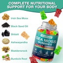 sea-moss-gummies---irish-sea-moss-gummie-4.jpg