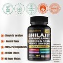 shilajit-capsules-nad-supplement-cellula-5.jpg
