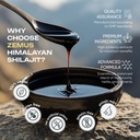zemus-himalayan-pure-shilajit-gummies-i--5.jpg