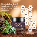 shilajit-pure-organic-himalayan-shilajit-4.jpg