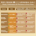 1500-mg-liposomal-nad-98-absorption-nad--6.jpg