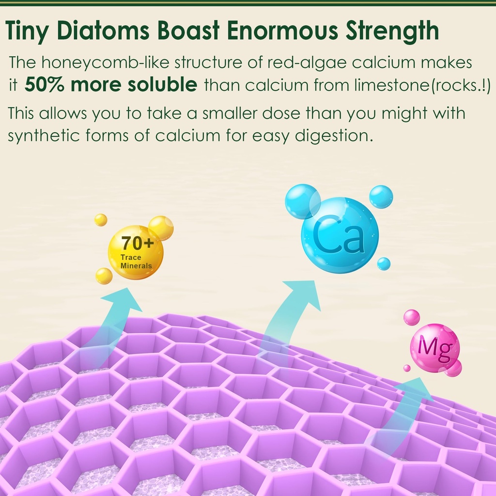 lilicare-plant-based-calcium-supplement--4.jpg