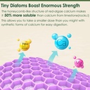 lilicare-plant-based-calcium-supplement--4.jpg