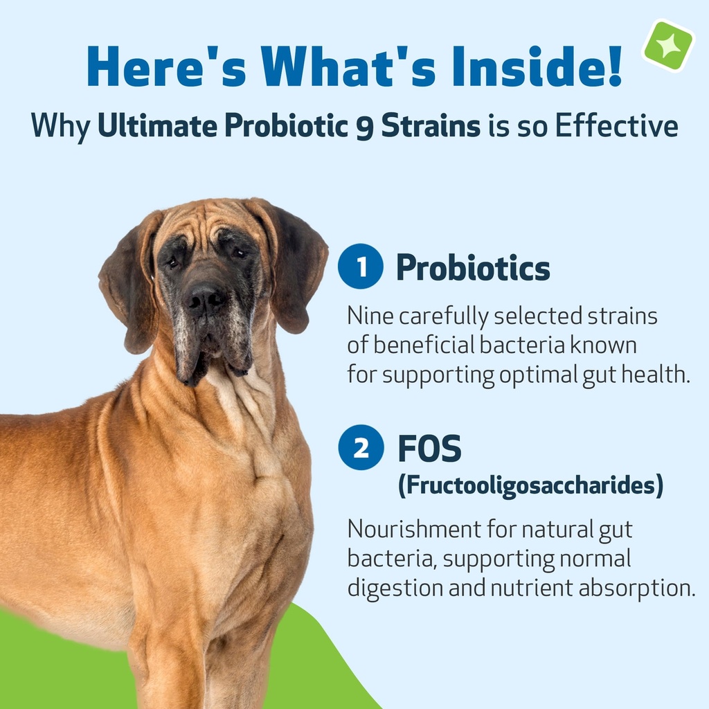 pet-wellbeing-ultimate-probiotic-9-strai-3.jpg