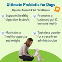 pet-wellbeing-ultimate-probiotic-9-strai-2.jpg