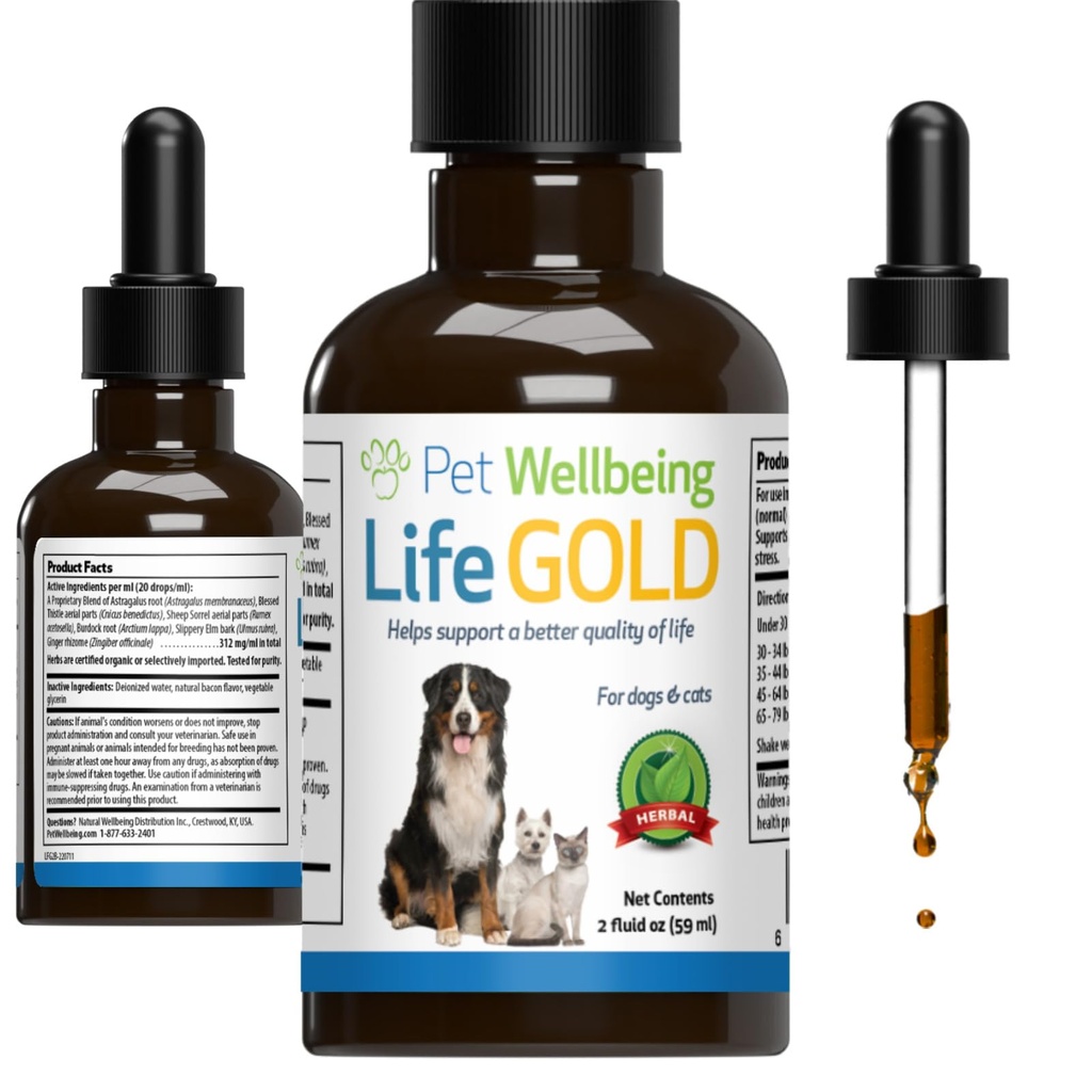 pet-wellbeing-more-mushrooms-kit-for-cat-6.jpg