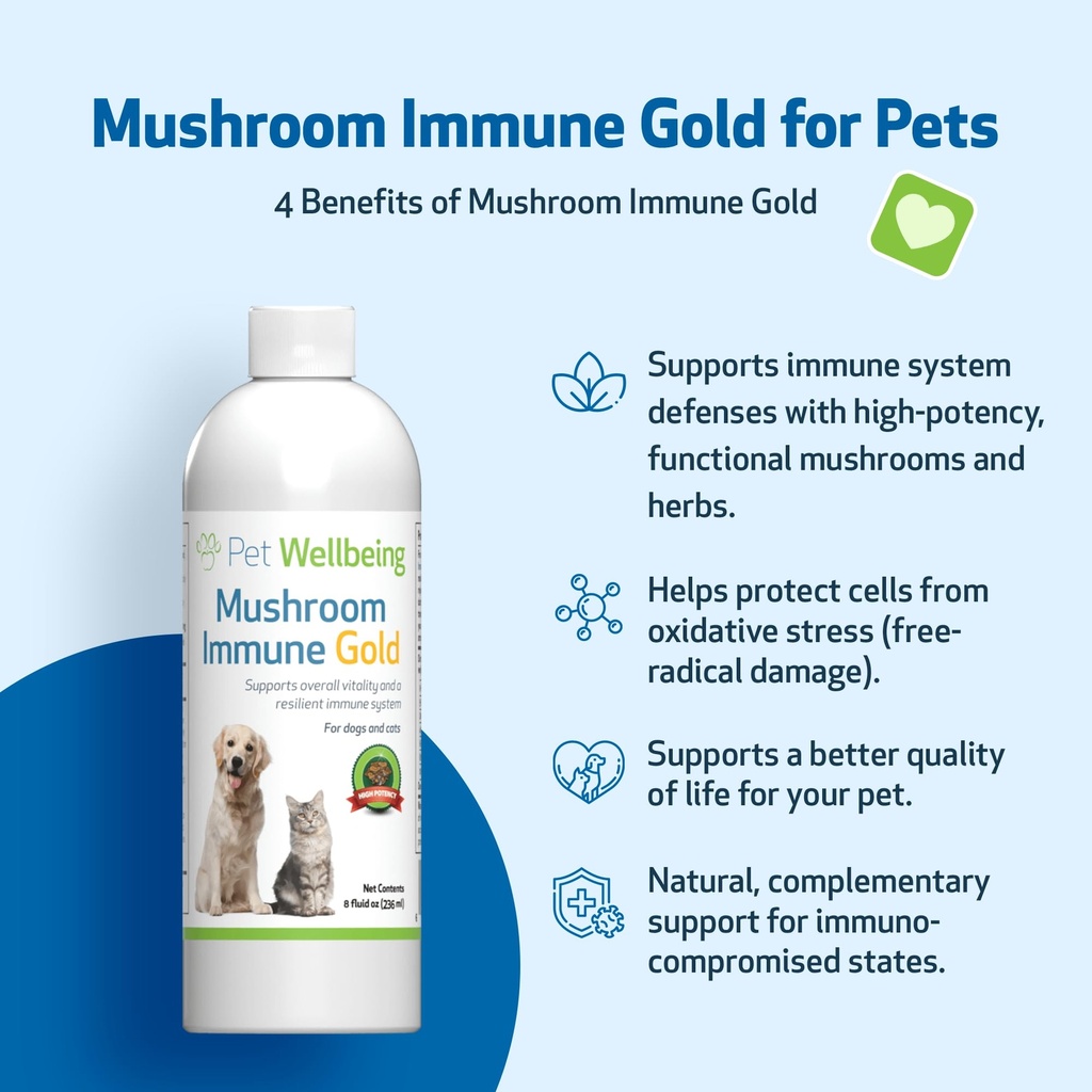 pet-wellbeing-more-mushrooms-kit-for-cat-4.jpg