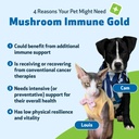 pet-wellbeing-more-mushrooms-kit-for-cat-3.jpg