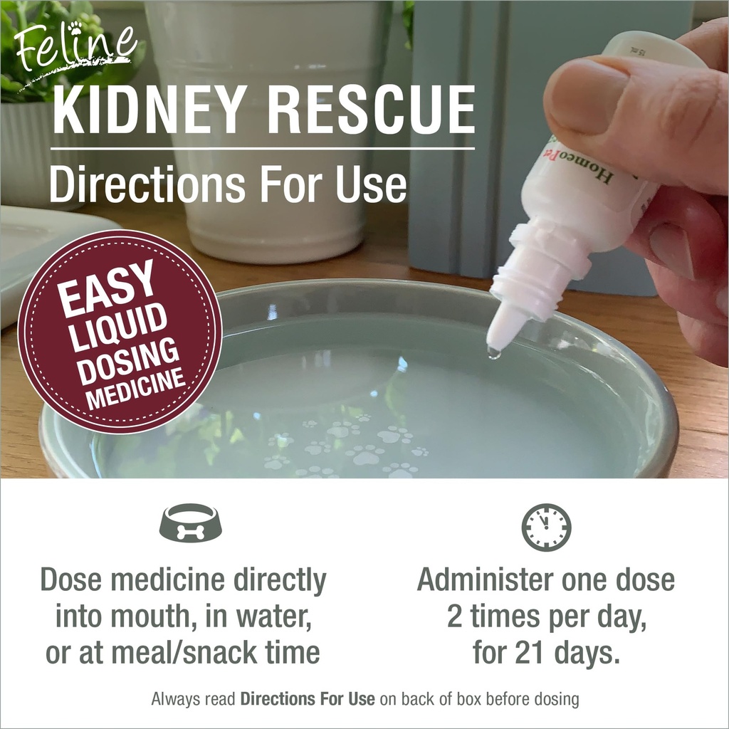 homeopet-feline-kidney-rescue-safe-and-n-5.jpg