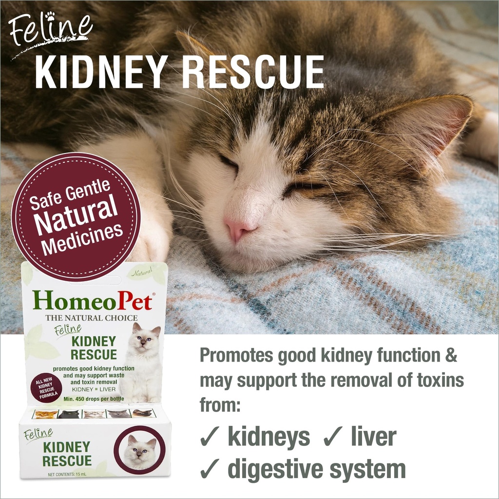 homeopet-feline-kidney-rescue-safe-and-n-2.jpg