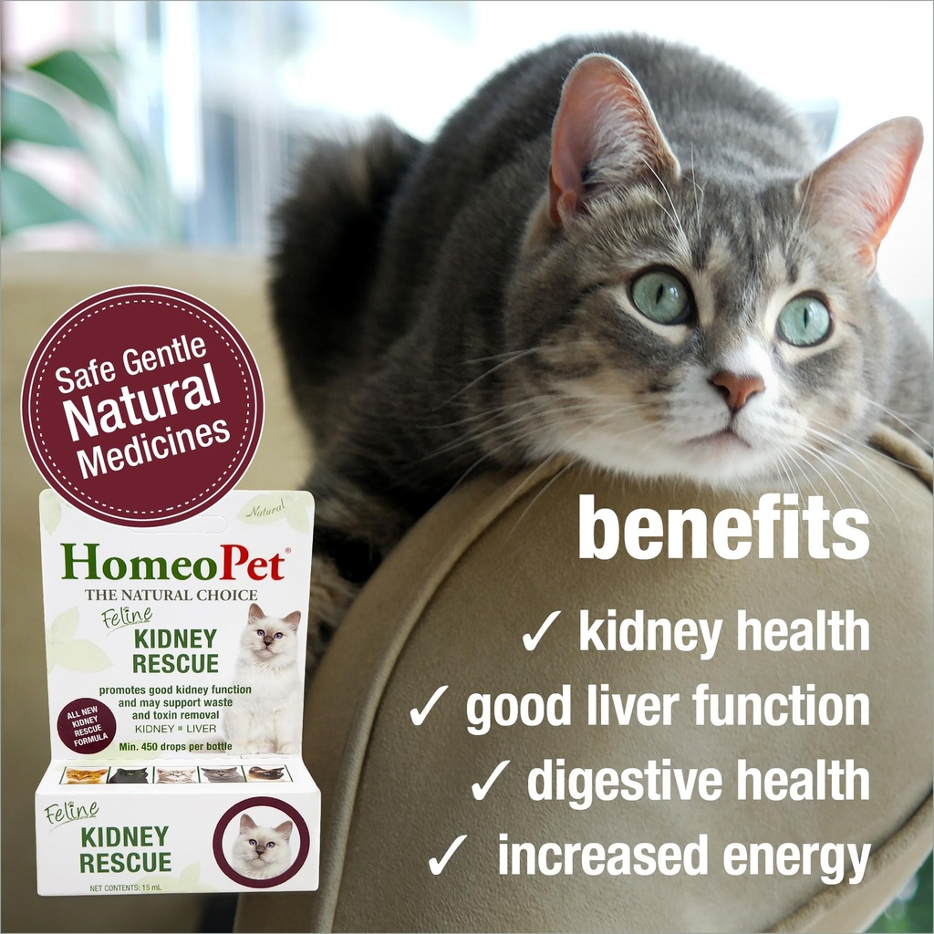 homeopet-feline-kidney-rescue-safe-and-n-3.jpg