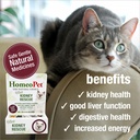 homeopet-feline-kidney-rescue-safe-and-n-3.jpg