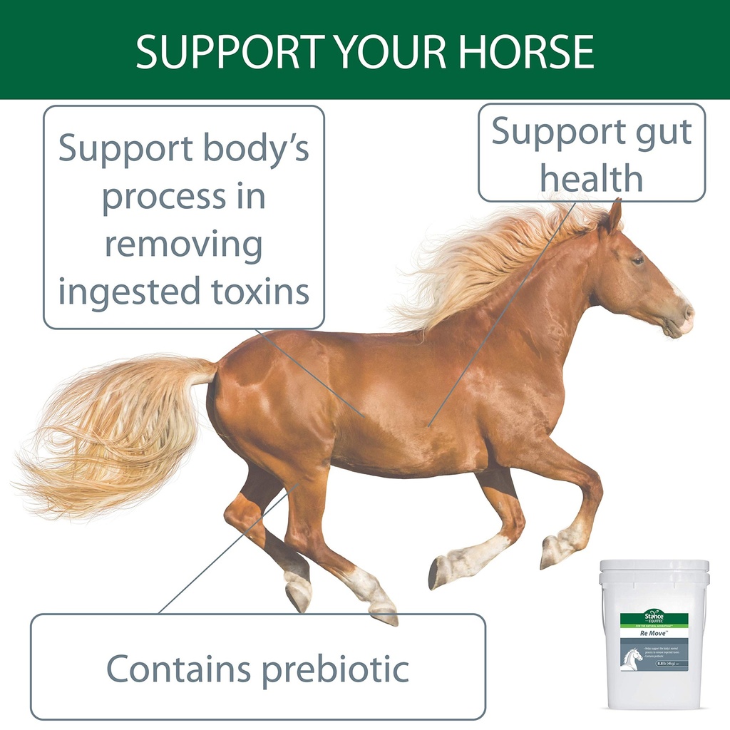 stance-equitec-re-move-horse-supplements-5.jpg