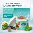 warren-london-premium-dental-powder-for--3.jpg