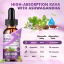 3-pack-kava-kava-root-extract-supplement-6.jpg