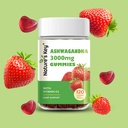 nature-s-key-ashwagandha-gummies-high-po-3.jpg