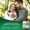 zazzee-organic-seasonal-wellness-bundle--5.jpg