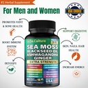 sea-moss-shilajit-nad-capsules-complete--3.jpg