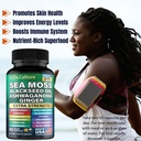 sea-moss-shilajit-nad-capsules-complete--6.jpg