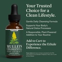 ethale-mullein-drops-for-lungs-natural-h-6.jpg