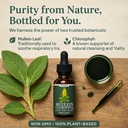 ethale-mullein-drops-for-lungs-natural-h-2.jpg