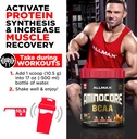 allmax-nutrition-aminocore-bcaa-powder-8-6.jpg