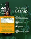herb-pharm-catnip-liquid-herbal-extract--2.jpg