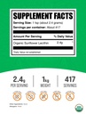 bulksupplements-com-organic-sunflower-le-2.jpg
