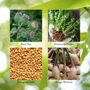 nature-s-sunshine-enviro-detox-100-capsu-5.jpg