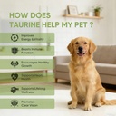 pawvita-taurine-powder-for-dogs-99-9-ami-2.jpg