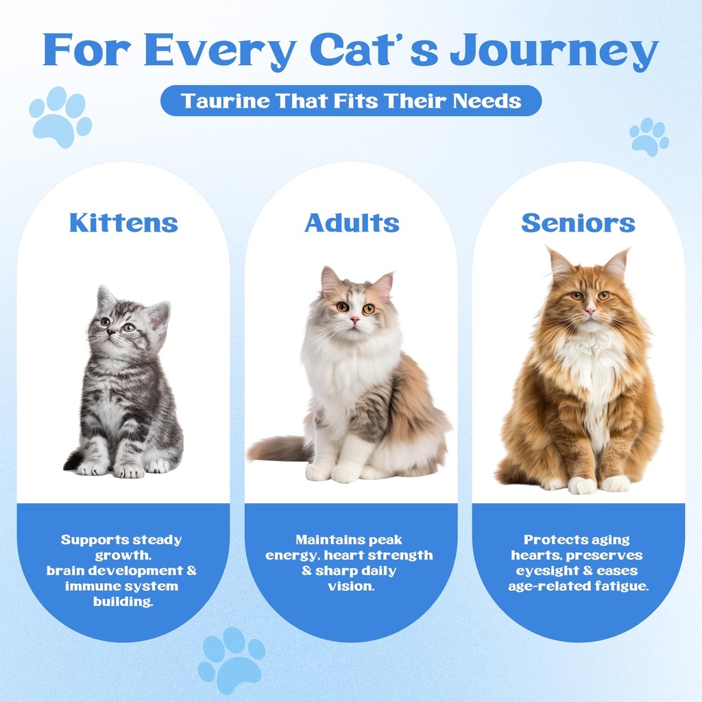 taurine-powder-for-cats-supports-heart-v-6.jpg