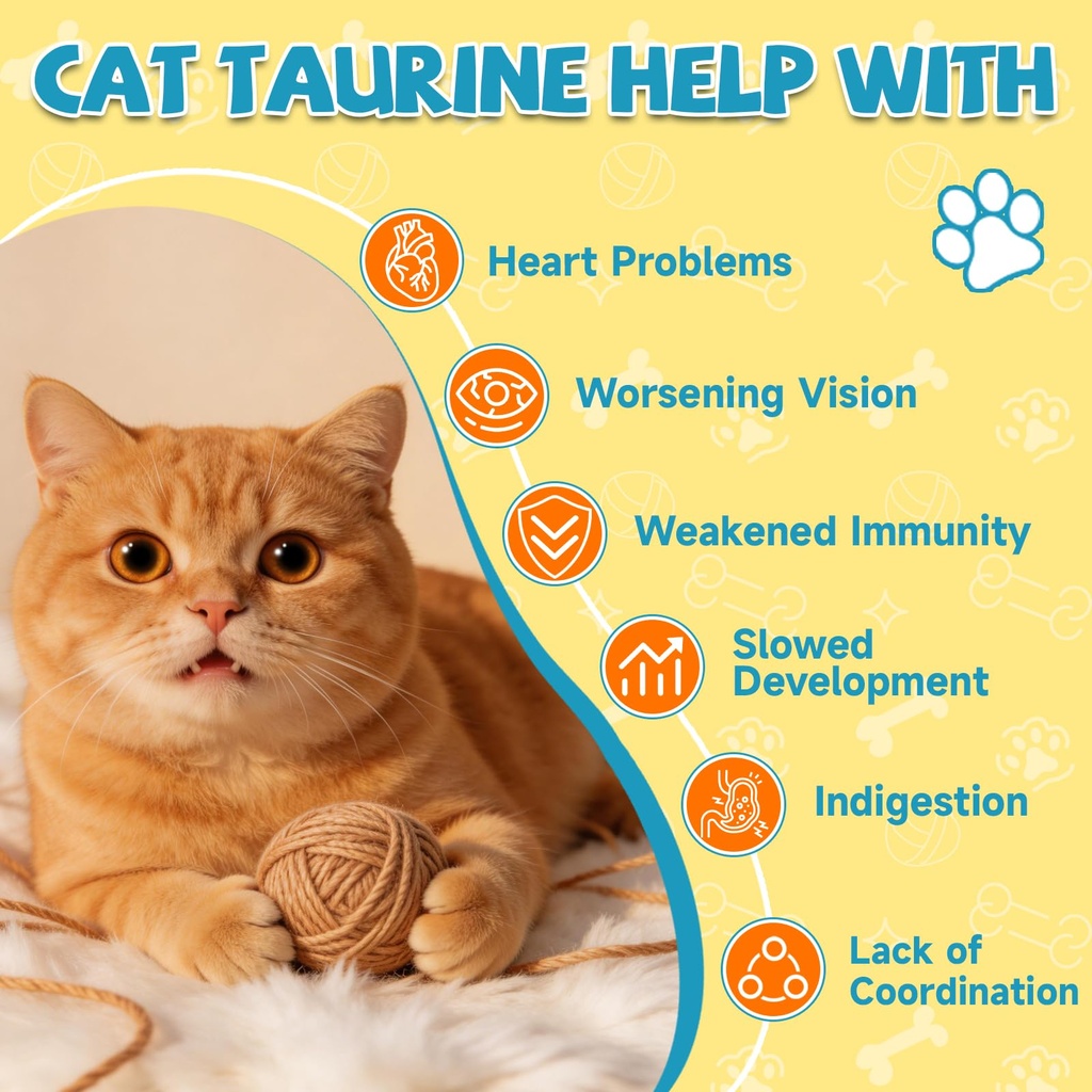 taurine-for-cats-drop-taurine-supplement-3.jpg